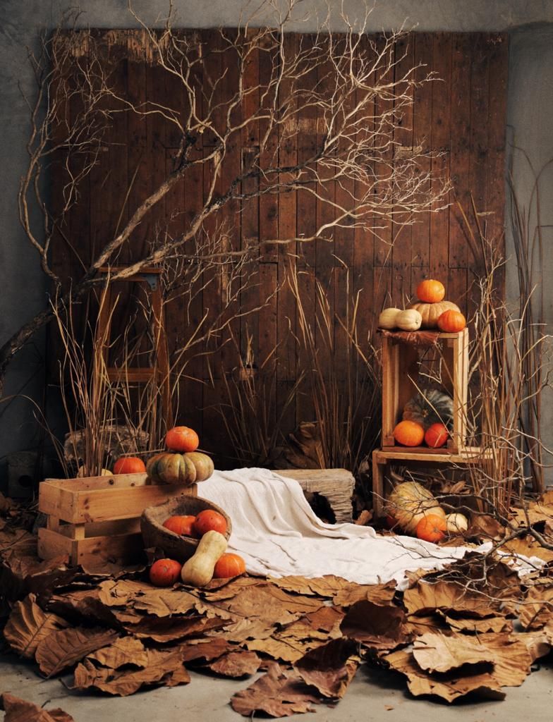 Thanksgiving Under the Stars: Create an Enchanting Outdoor Table with String Lights and Candles! - 10. Wrapping Up: The Perfect End 1