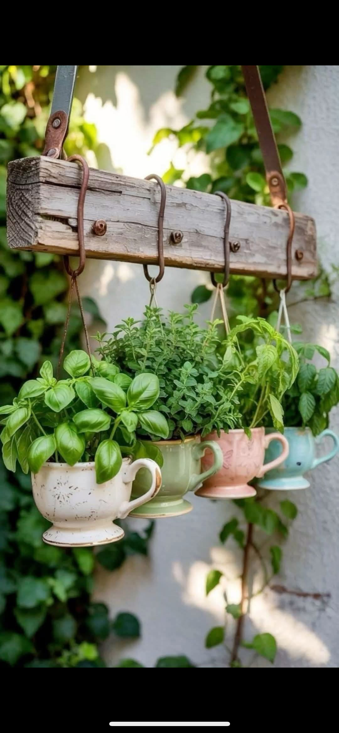 10 Incredible Upcycling Ideas with Cans That'll Transform Your Space Forever! - 2. Herb Planters 1